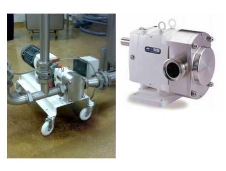 Stainless Steel Pumps & Valves Ltd