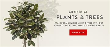 Red Hot Plants Ltd