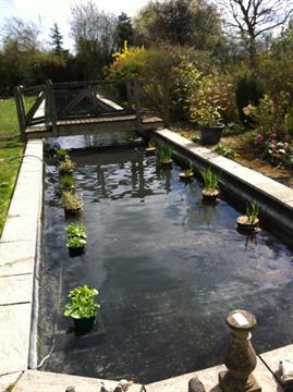 Crystal Clear Pond Services