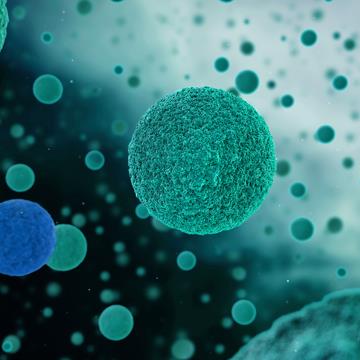 PharmaLex UK Services Limited