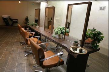 Cult and Bloom Salon