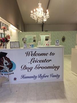 Leicester Dog Grooming Courses
