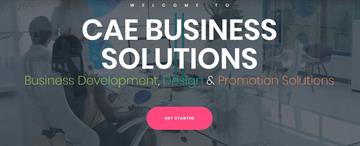 CAE BUSINESS SOLUTIONS LTD