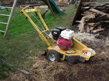 Stump Removal Services