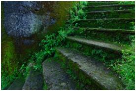 Complete Weed Control Ltd