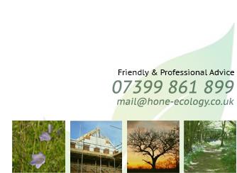Hone Ecology  Ltd 