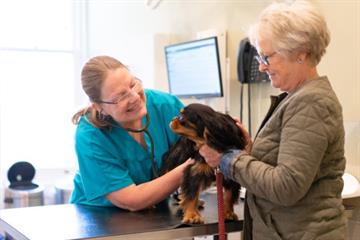 Crofts Veterinary Surgery