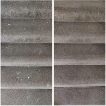 Floor Wizard Carpet Cleaning