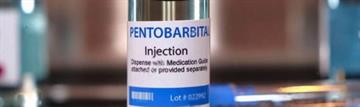 sodium pentobarbital for sale