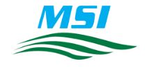 MSI Ship Management