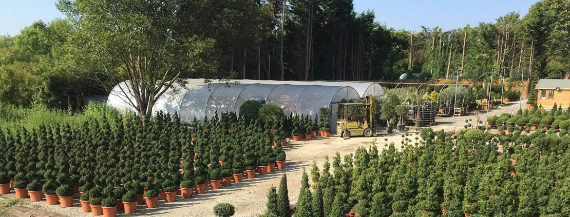 Sutton Manor Nursery