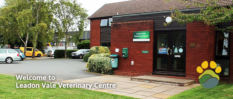 Leadon Vale Veterinary Centre