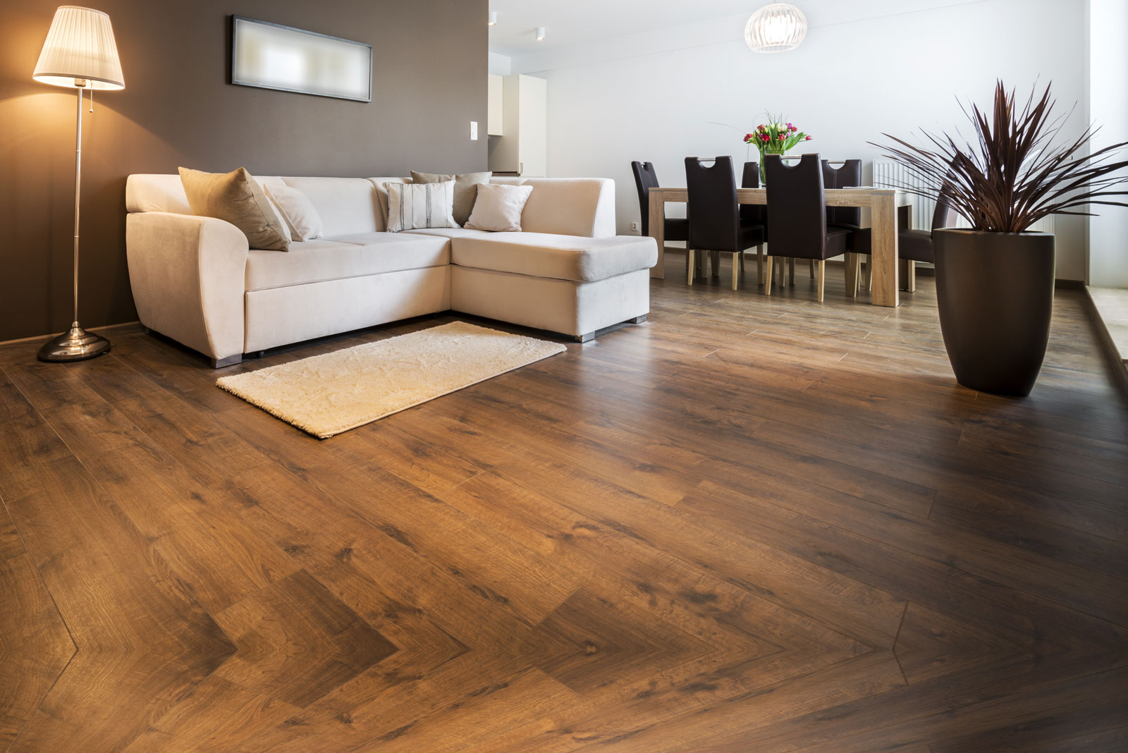 Chester Flooring Services Ltd