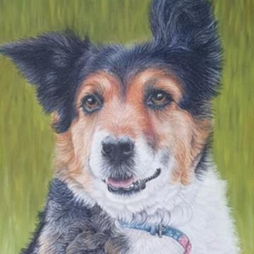 Dogrose and Catnip - Pet Portraits