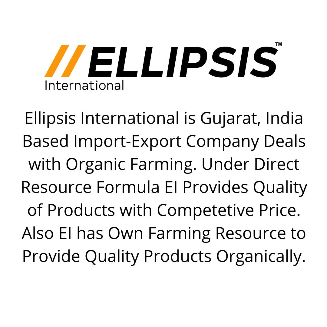 Ellipsis International