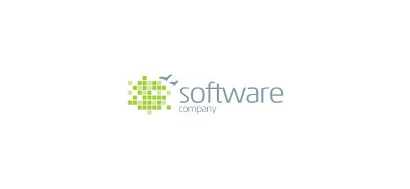 Software Agency 