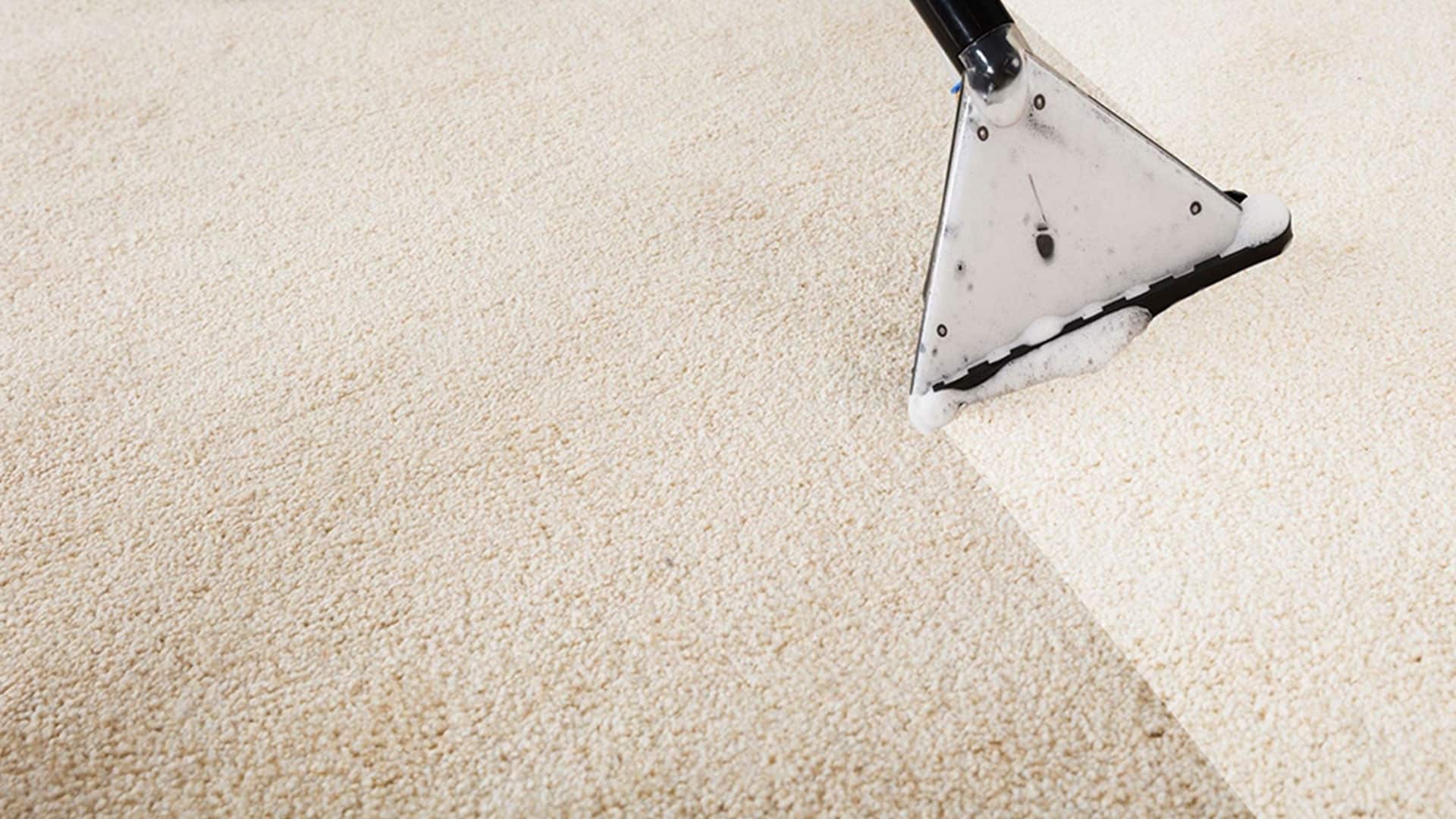 CarpetCleaning Wakefield