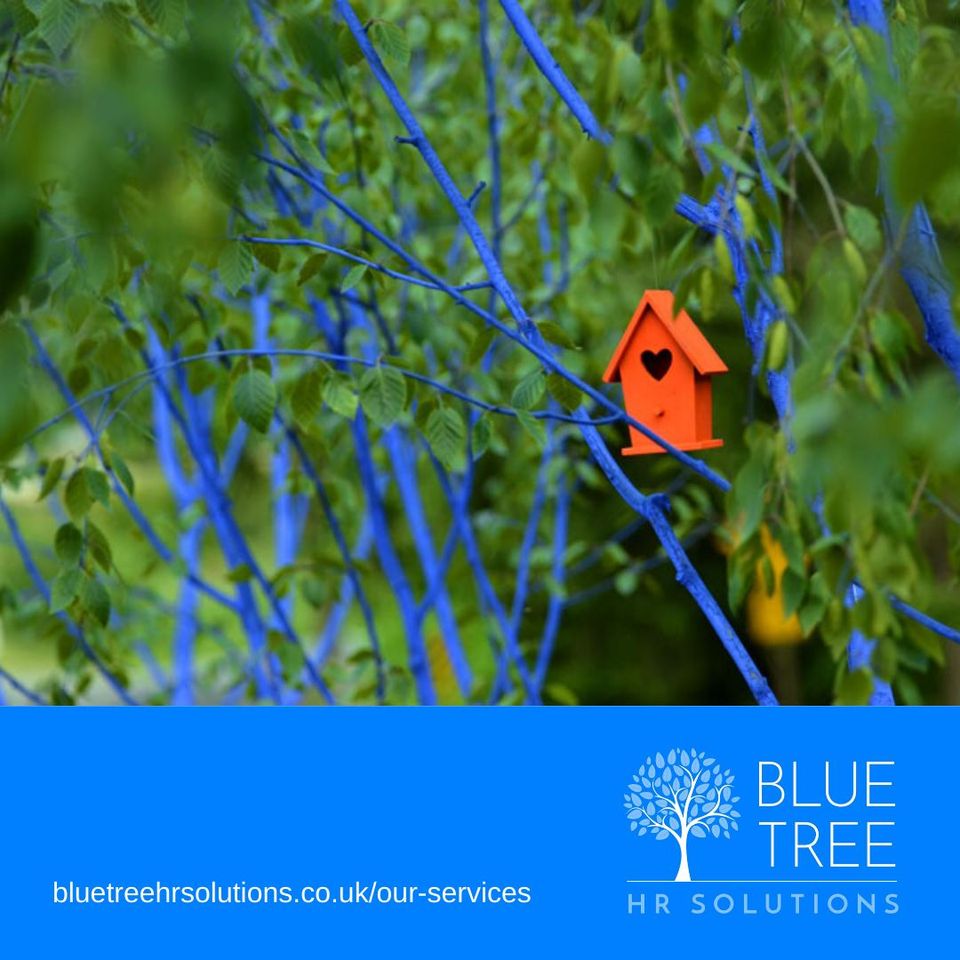 Blue Tree HR Solutions