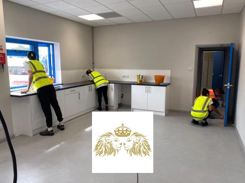 Lions cleaning services