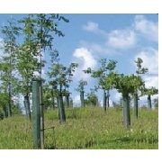 Acorn Planting Products Ltd