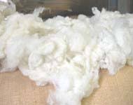The Natural Advantages of Wool