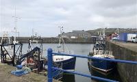 J & E Hall units impress in fishing industry project