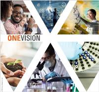 ONEVISION: CREATING A GLOBAL STANDARDIZED LABORATORY NETWORK FOR SGS LIFE SCIENCES
