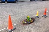 Green fingers come to the aid of Potholes