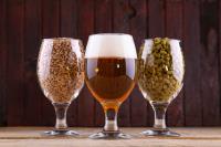 TIPS AND TRICKS TO MAKE YOUR HOME BREWING A GREAT SUCCESS