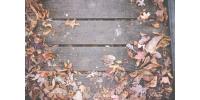 How to Care for and Maintain Decking in Winter?
