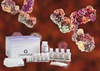 ChIP Kits for High Throughput Antibody Validation
