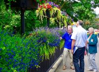2020 Britain in Bloom competition cancelled