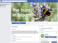 Looking for inspiration? Join Amberol’s Buzz in Bloom Facebook group