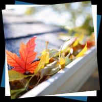 How To Clean Your Gutters Safely Using Ladders