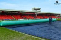 Pitch Frost and Ground Covers