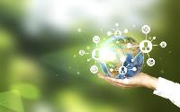 Technology is key for wholesalers to achieve sustainability goals