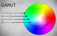 Spot to Process Colours: What is the difference and how to use them?