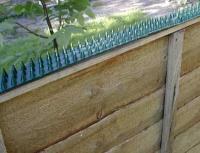 Garden Fences - What You Need to Know