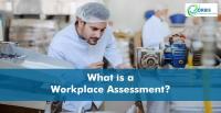 What Is A Workplace Assessment And Why A Business Needs One?