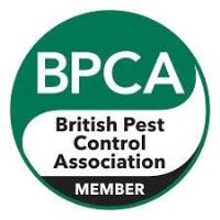 Fox Pest Control North London - North London Pest Control