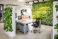 Are Green Living Walls Commercially Acceptable?