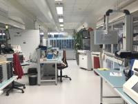 Practical experience in cell production