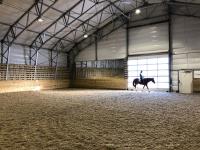 Rubb’s the favourite with bespoke horse riding arena