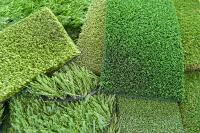 Picking the Best Artificial Grass for Your Space – Everything You Need to Know