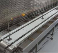 Bespoke Stainless Steel BBQ Line Conveyor