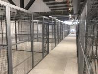 Mesh Partitioning & Mesh Cages