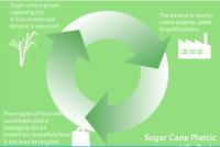 Sugar Cane Polymer Packaging – a viable alternative