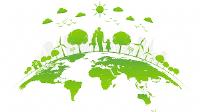 Our Steps To Becoming A More Eco-Friendly Business