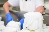 AVE UK’s mozzarella processing line helps Fratelli Amodio bring taste of Italy to UK