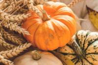 Precious Pumpkins; 5 ways to use the whole thing.